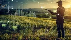 Ivory Coast Agriculture: Mountain Techno’s Perspective