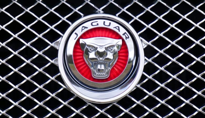Graphics Design and Branding: How to Create a Memorable Logo